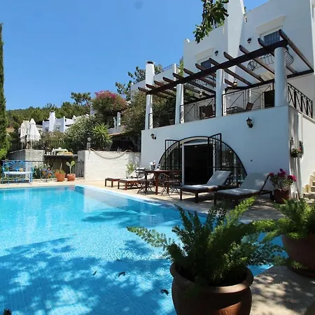 Private Pool Cem Villa