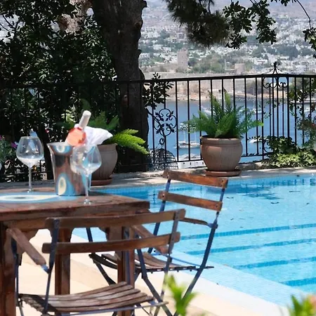 Private Pool Cem * 博德鲁姆